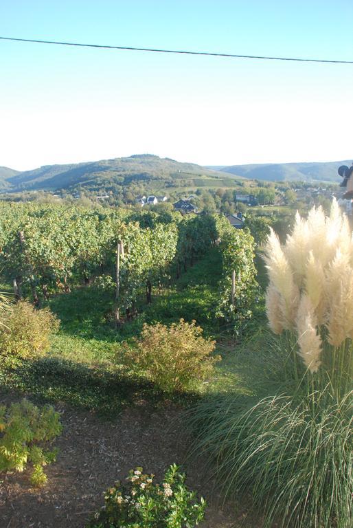 Pensjonat Wein- Und Gaestehaus Genetsch