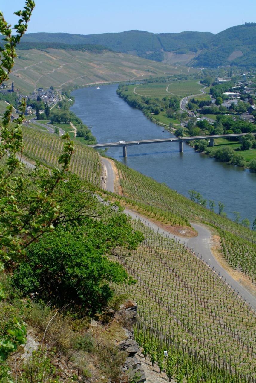 Pensjonat Wein- Und Gaestehaus Genetsch