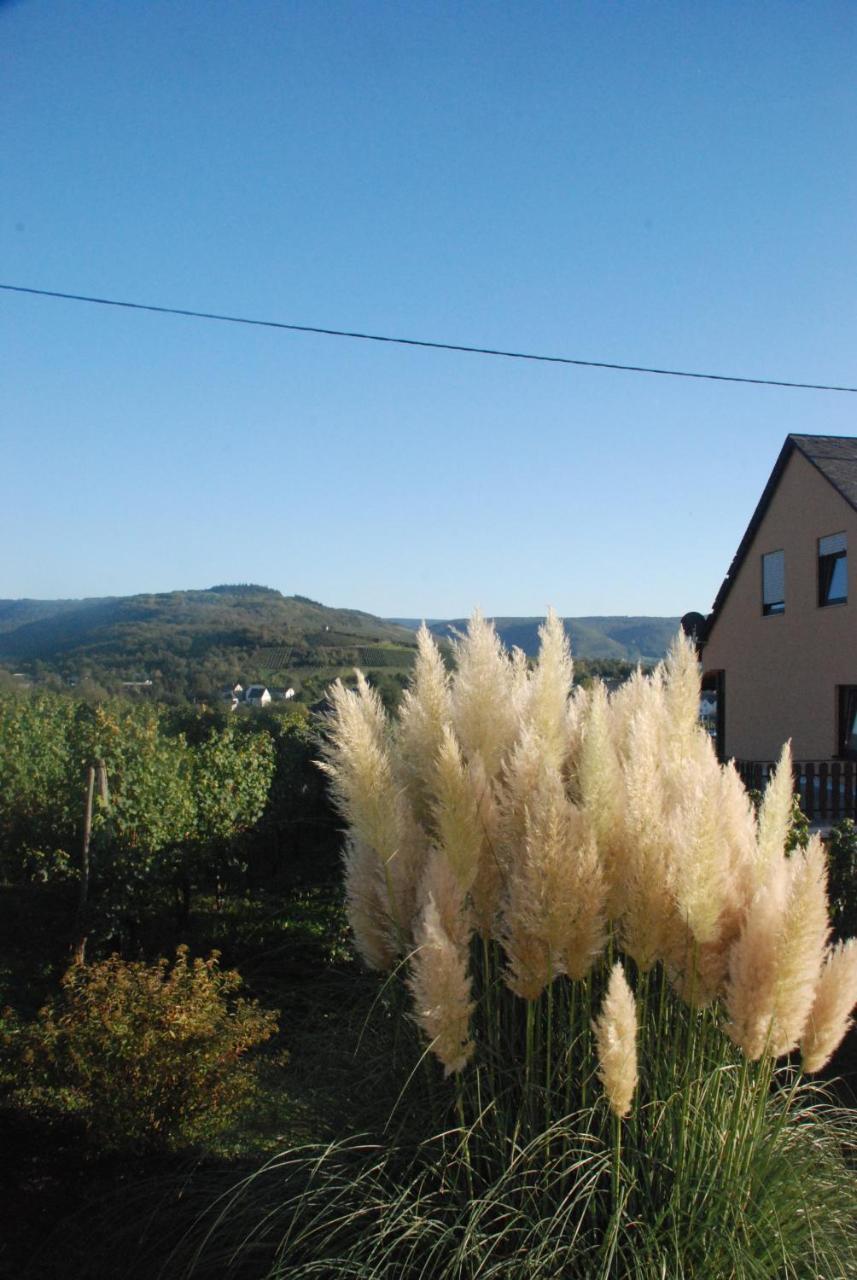Pensjonat Wein- Und Gaestehaus Genetsch Lieser