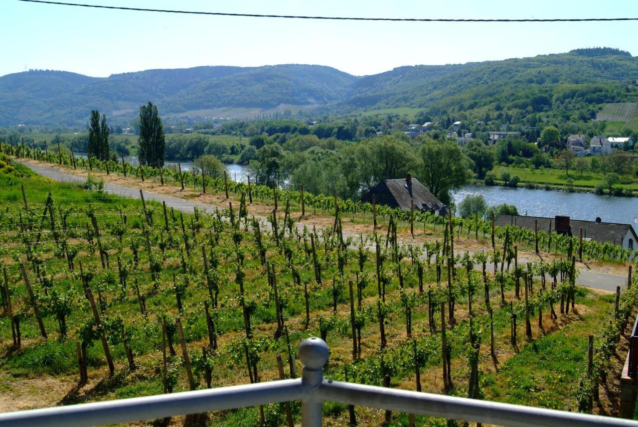 Gasthuis Wein- Und Gaestehaus Genetsch 2*